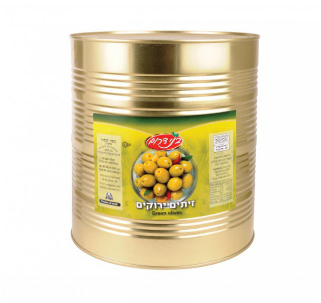 Yavne Green Manzalino Olive 9 l