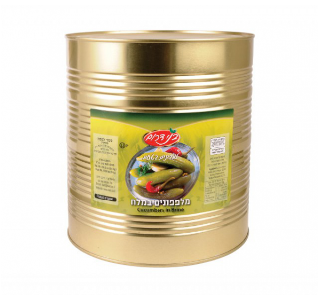 Yavne Cucumbers in brine 201-250 9 l